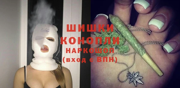 МДПВ Шадринск
