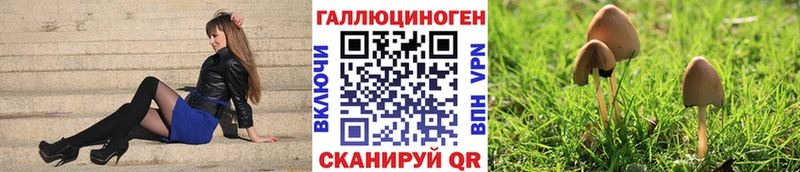 Галлюциногенные грибы ЛСД  Невьянск 
